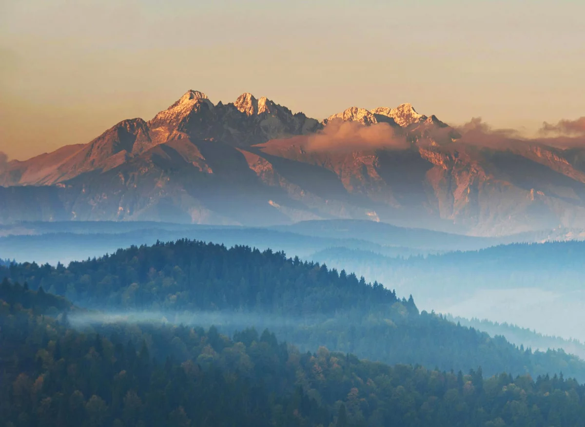 Sposób na rozwój firmy - marketing internetowy