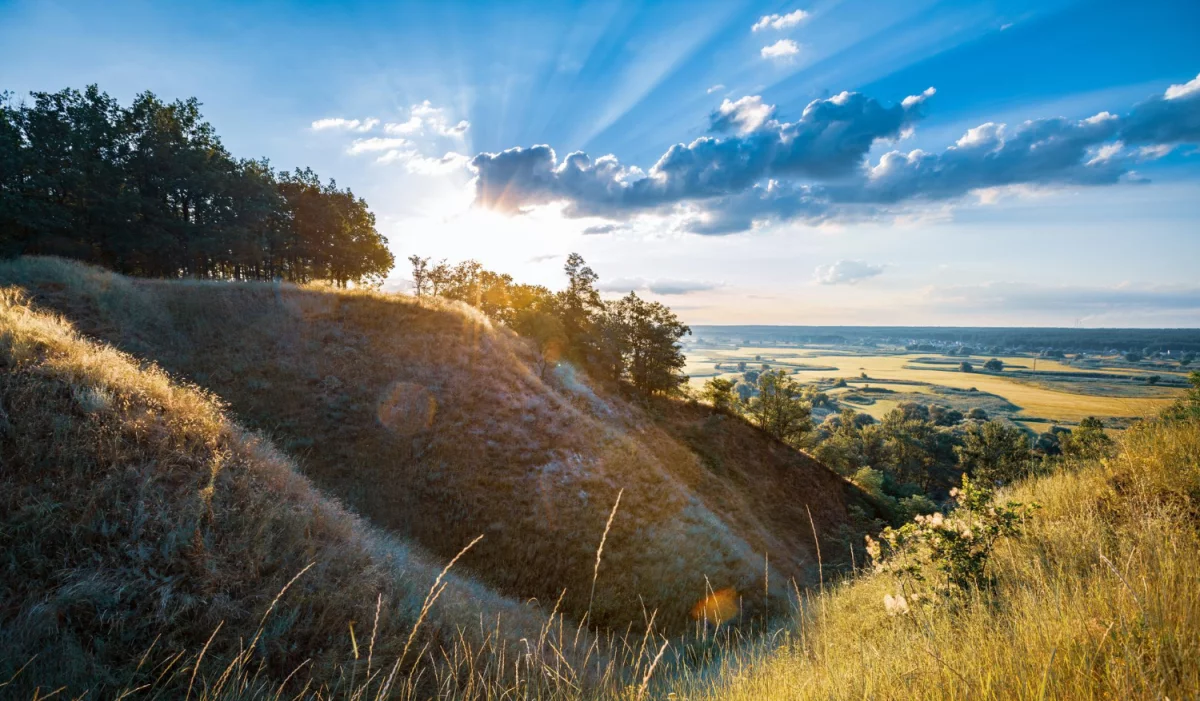 Gabinet dentystyczny Zabrze