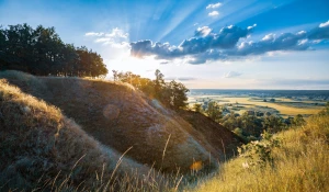 Regularne wizyty u stomatologa