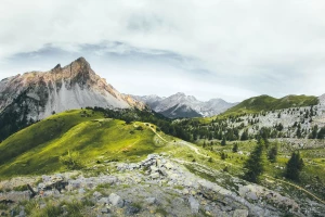 Kto powinien skorzystać z usług wypożyczalni namiotów i mebli?