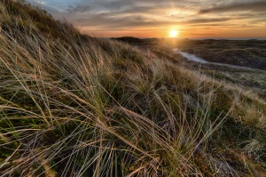 Jak reklamować się przydatnie?